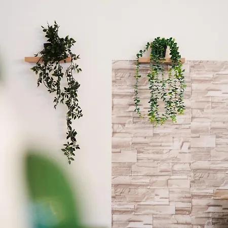 Apartament Tamliving History Center Mureck