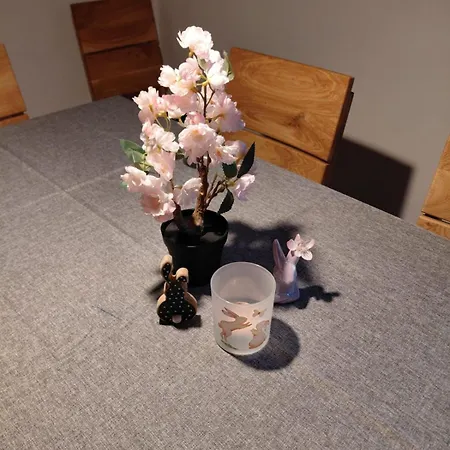 Apartment Feudale Ferienwohnung Mureck Zentrum