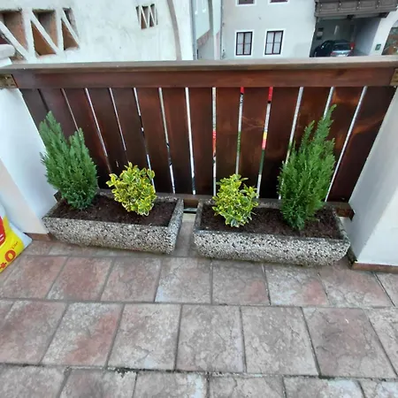 Feudale Ferienwohnung Mureck Zentrum Apartment *